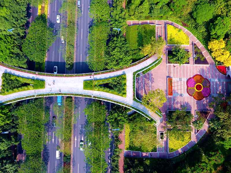 1641979530451682.jpg 16.jpg