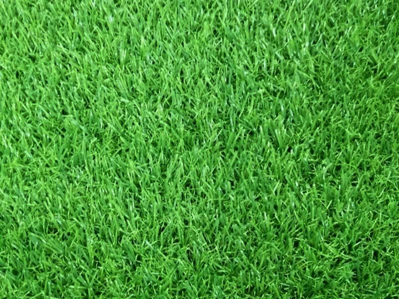 1646218734614133.jpg 206.jpg